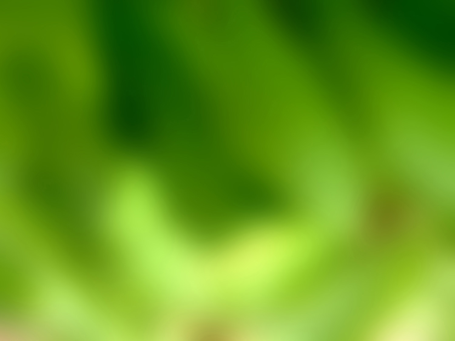 Background Image for bad browsers